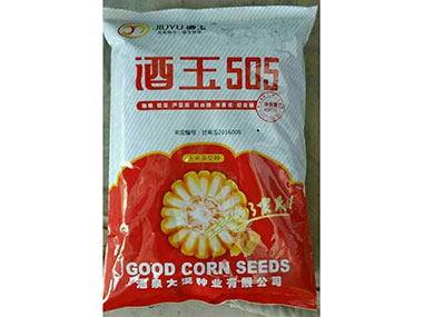 快盈lV500【505】玉米杂交种